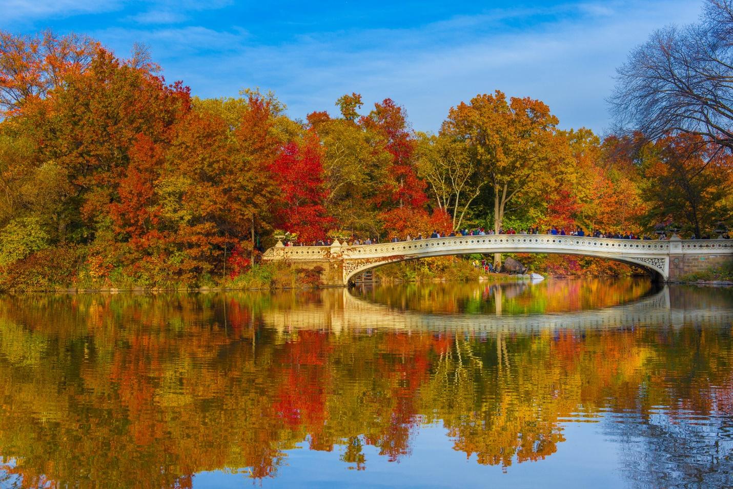 Central Park