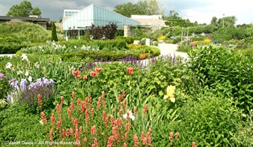 Toronto Botanical Garden