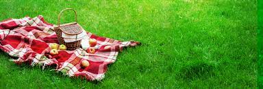 photo of red plaid picnic blanket with strawberries