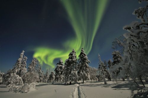 Finland Arctic Magnificence